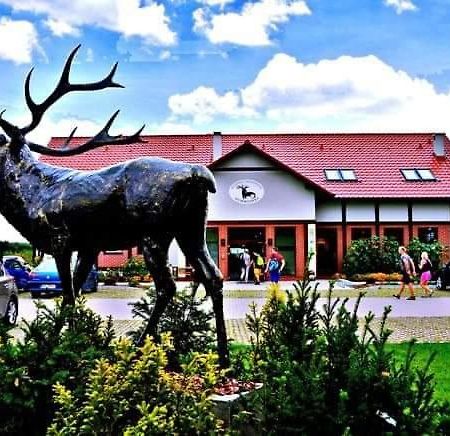 Pensjonat I Restauracja Hubertowka 米利奇 外观 照片