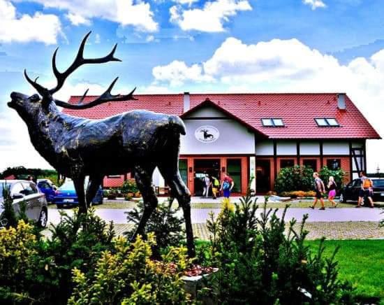 Pensjonat I Restauracja Hubertowka 米利奇 外观 照片